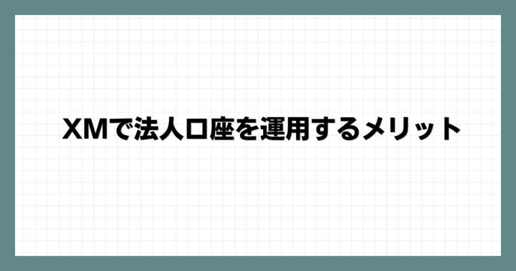 XMで法人口座を運用するメリット