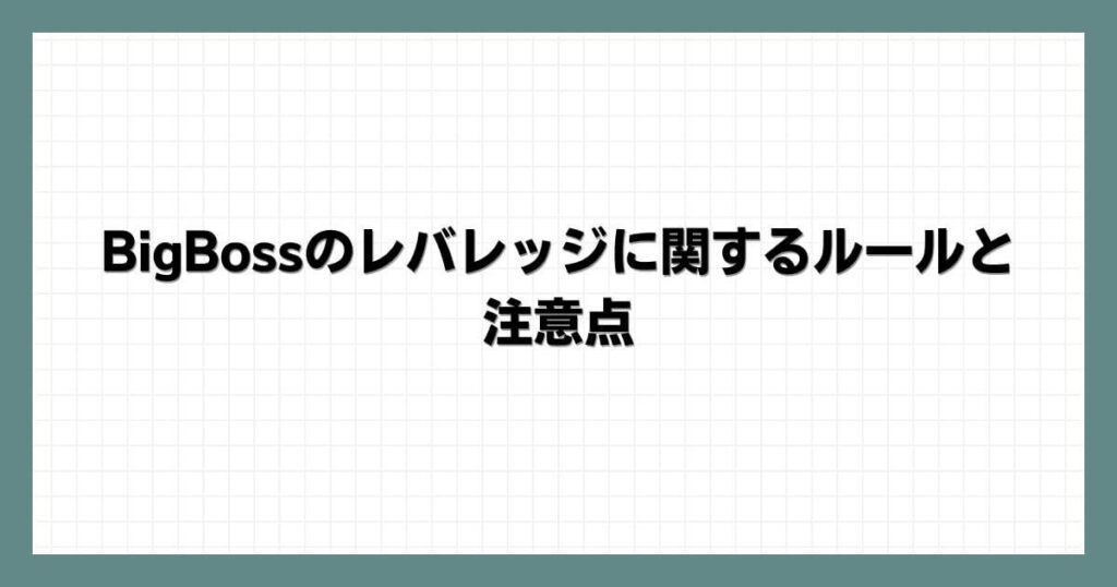BigBoss（ビッグボス）のレバレッジに関するルールと注意点