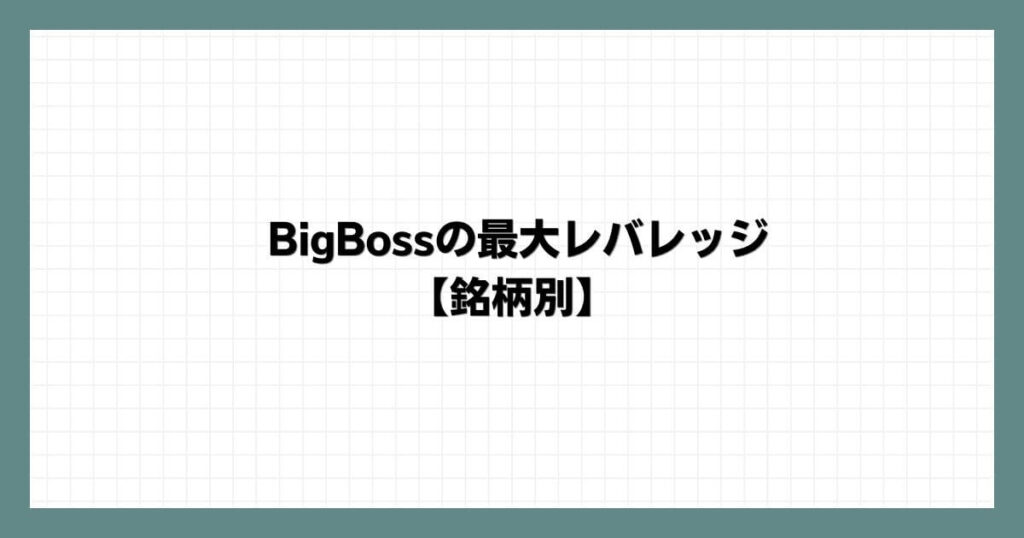 BigBoss（ビッグボス）の最大レバレッジ【銘柄別】