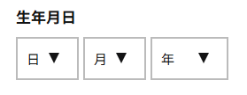 生年月日の入力