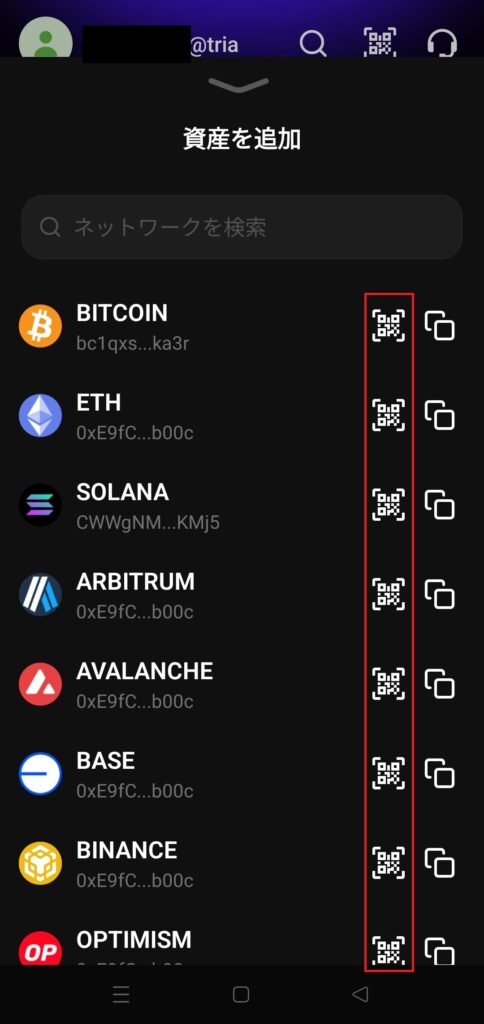 海外FX資産凍結TriaPay送金アドレス確認②