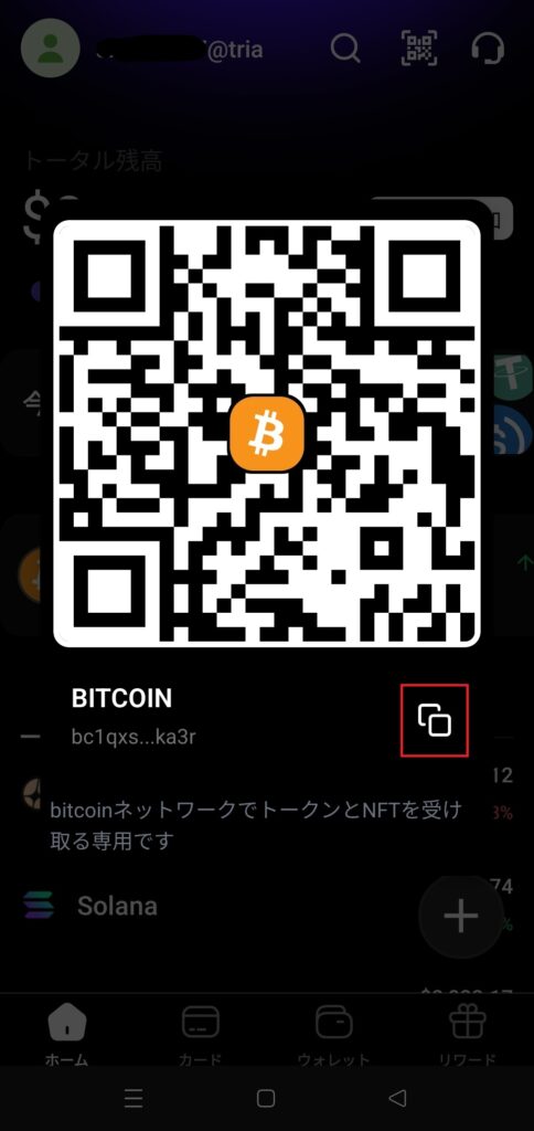 海外FX資産凍結TriaPay送金アドレス確認③